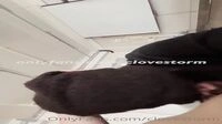 대학 강의실에서 떡치는 미친것들