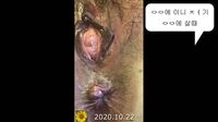 대화가 재미있는 실제 장모님과의 섹스촬영